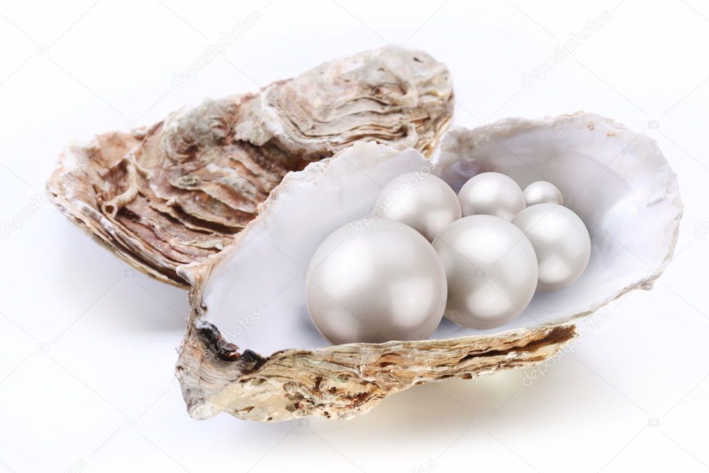 Image placer pearls in a shell on a white background.