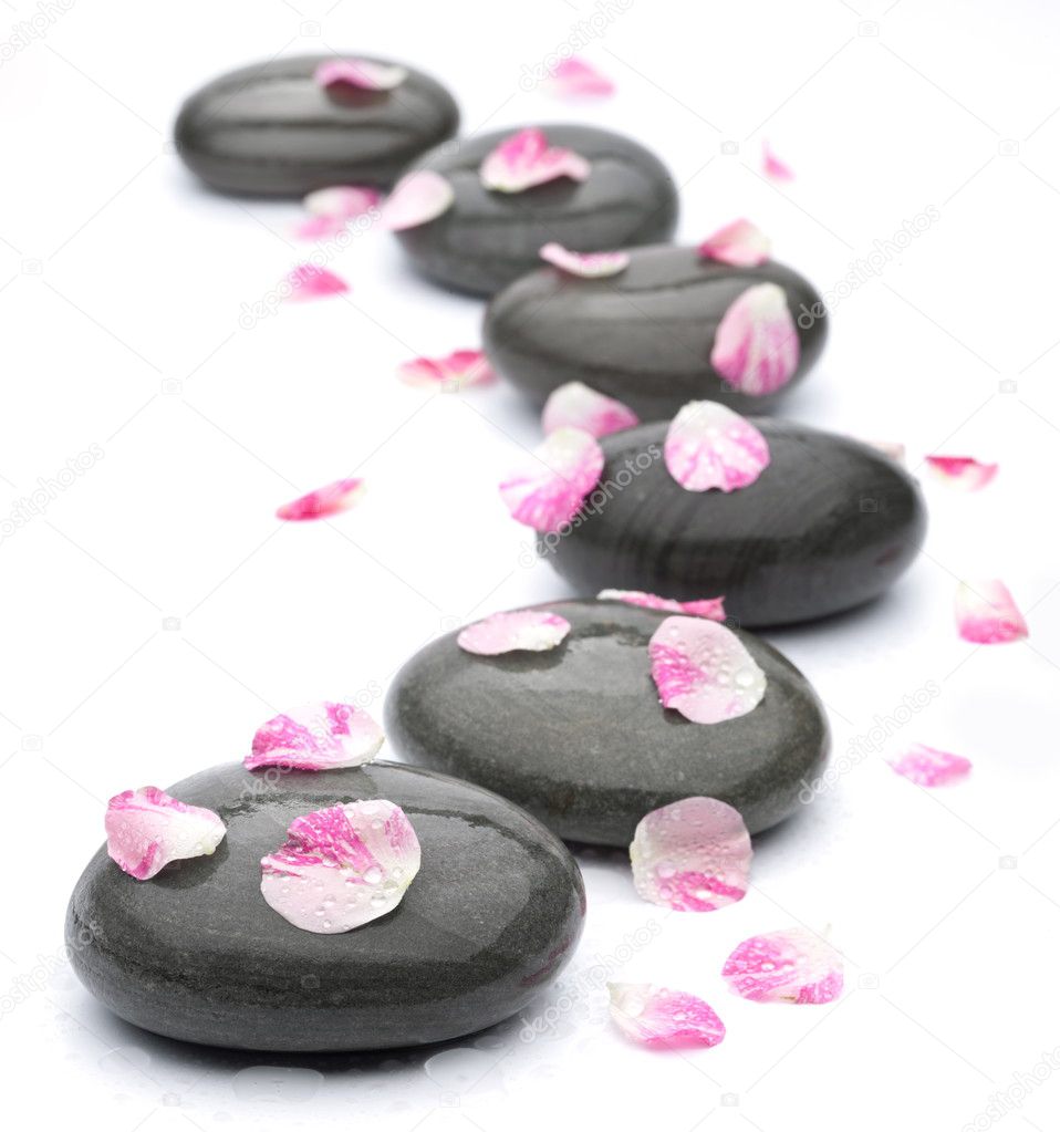 Spa stones with rose petals on white background.