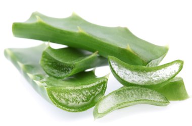 aloe vera parçaları