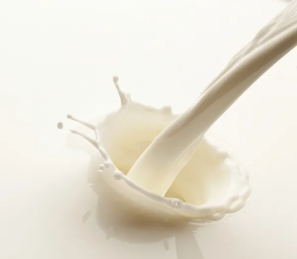 Respingo de leite em um fundo branco — Fotografia de Stock