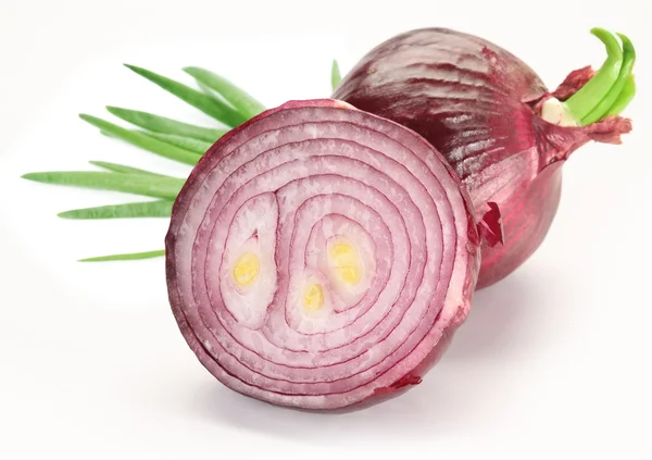 Bulbs of red onion with green leaves — Stock Photo, Image
