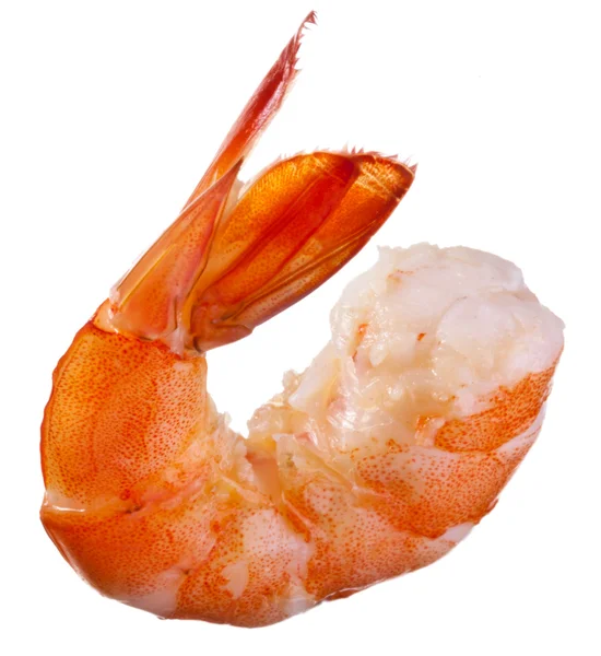 Shrimp isolated — Stock Photo, Image