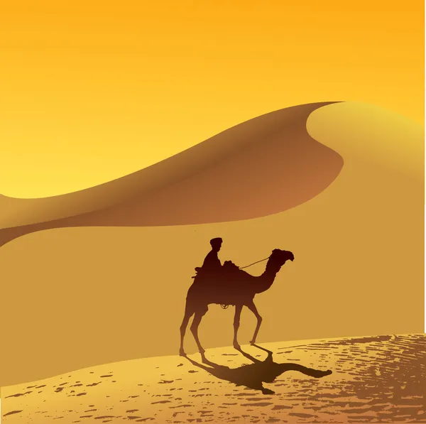 Poušť Sahara — Stockový vektor