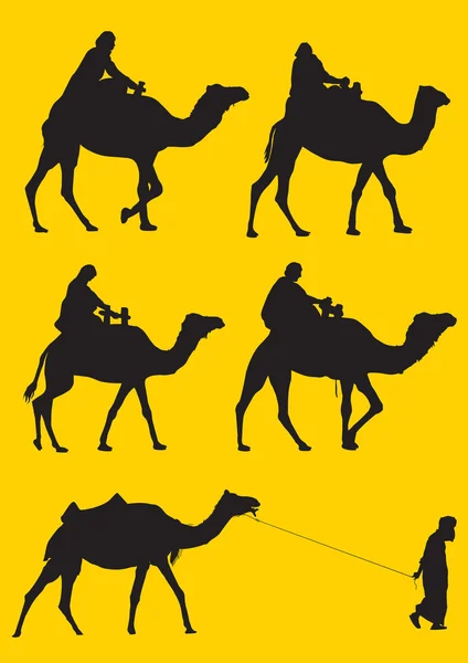 Kamel — Stockvektor