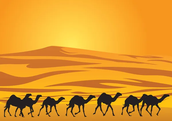サハラ砂漠とラクダ — ストックベクタ