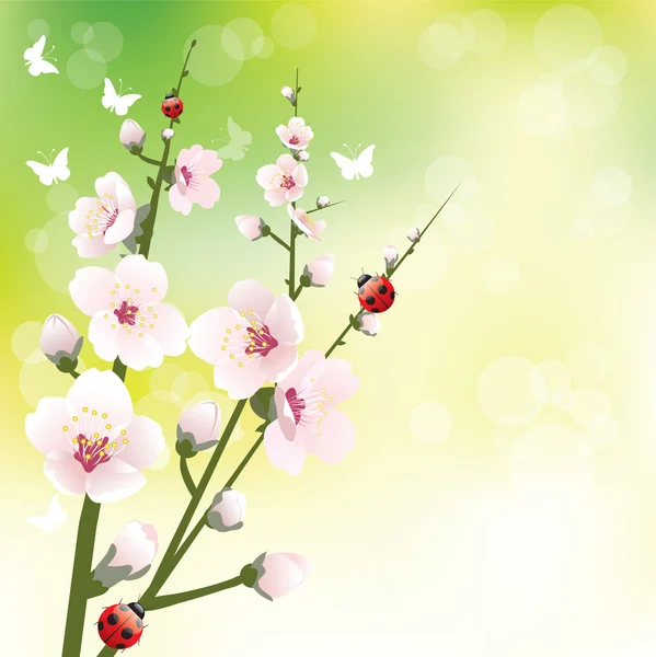Florecimiento de primavera — Archivo Imágenes Vectoriales