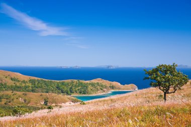 sonbahar ağaç deniz arka planı