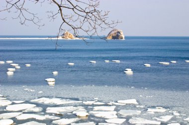 Deniz buzu