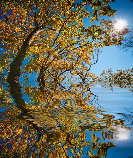 stock image Autumn sun and the reflection