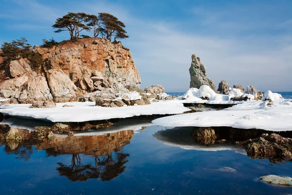 Winter reflectie — Stockfoto