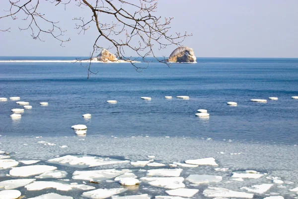 Sea ice — Stock Photo, Image