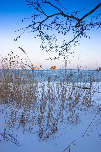 겨울 바다 — 스톡 사진