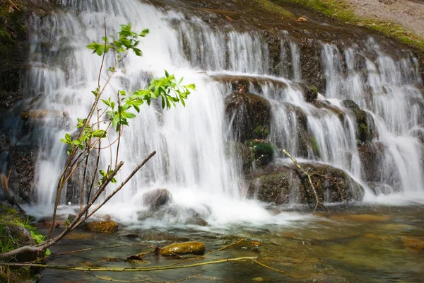 Cachoeiras tumultuosas na floresta de verão — Fotografia de Stock