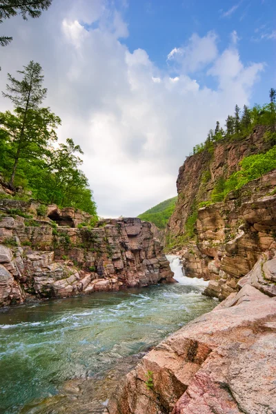 Turbulentní horská řeka v létě — Stock fotografie