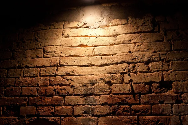 Illuminated by a red brick wall — Stock Photo, Image