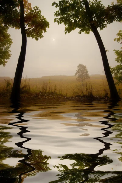 Autumn mist! — Stock Photo, Image