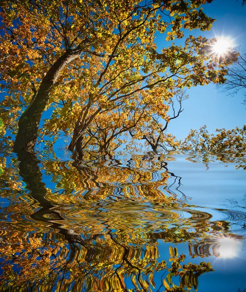 Солнце и отражение — стоковое фото