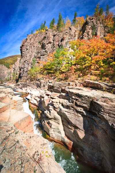 Passione d'autunno — Foto Stock