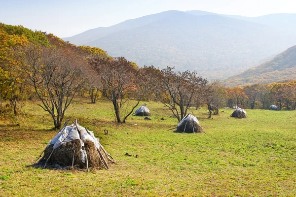 Haystacks in a forest — Stock Photo, Image