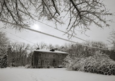 snowy orman içinde ahşap ev