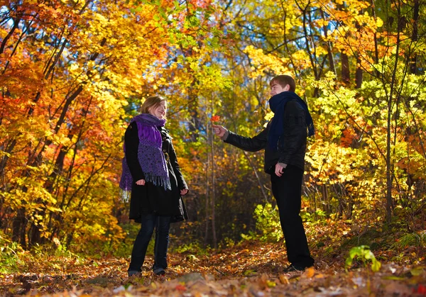 Piękny chłopiec i dziewczynka w drewno jesień — Zdjęcie stockowe