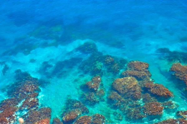奇妙な海底 — ストック写真