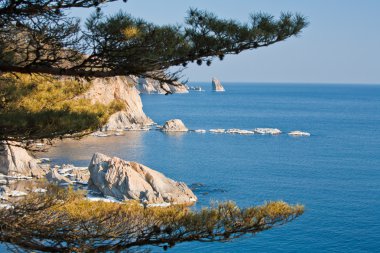 güzel Kış Doğa primorsky toprakları, vladivostok, Rusya