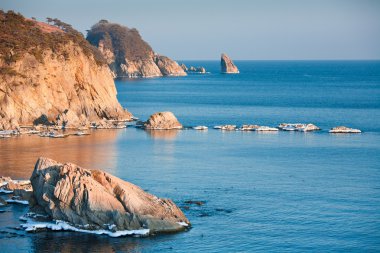 güzel kış kayalık deniz manzarası ile çam