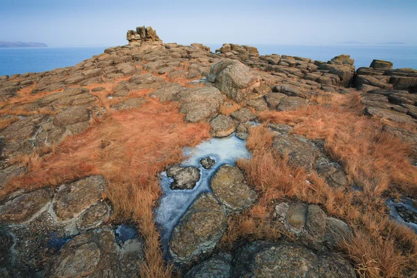 冬の野生の岩が多い海岸 — ストック写真