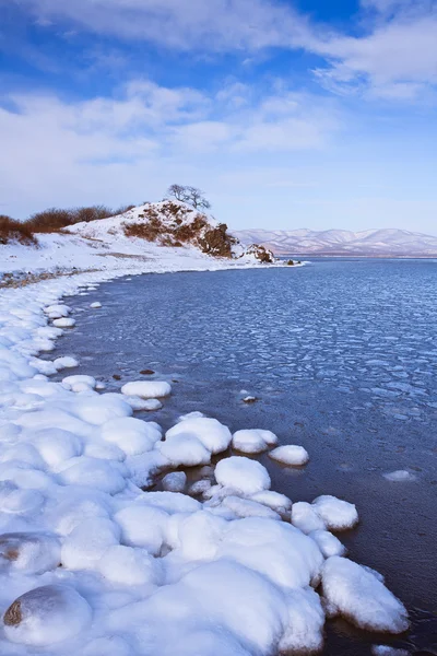 Hermosa Naturaleza Invernal Del Territorio Primorsky Vladivostok Rusia —  Fotos de Stock
