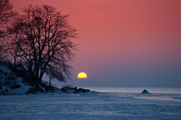 Dondurulmuş deniz üzerinde güzel gün batımı — Stok fotoğraf
