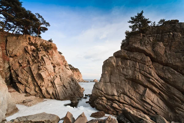 岩が多い冬の海 — ストック写真