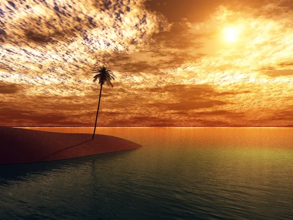 Sea sunset — Stock Photo, Image