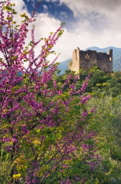 eski bir kule kırsal ortamda kalıntıları