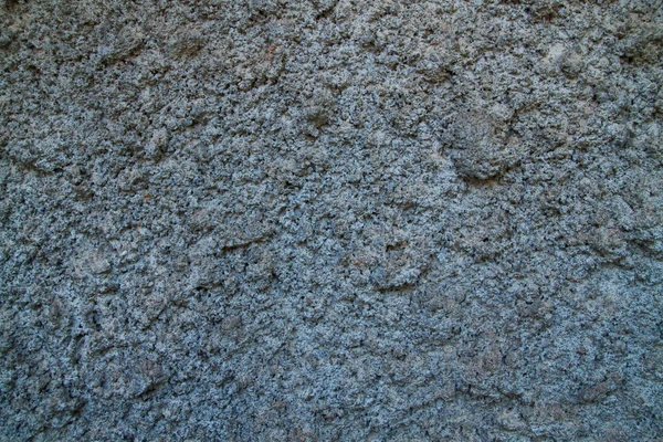 Cement konsistens — Stockfoto