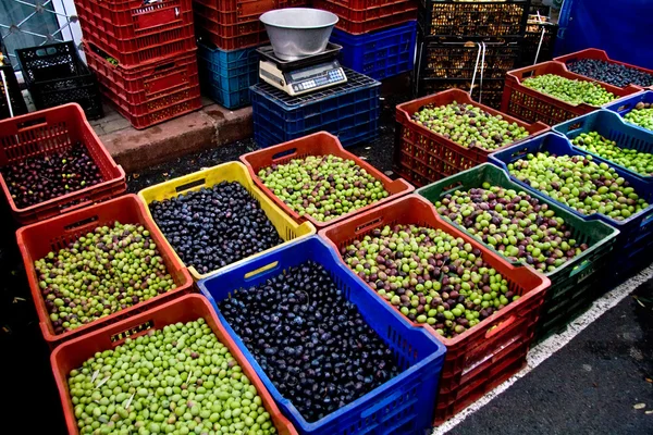 Verse organische verschillende soorten olijven op een straatmarkt in is — Stockfoto