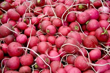 Olgun turp /Turnips A Street Market Istanbul, Tu'yığını