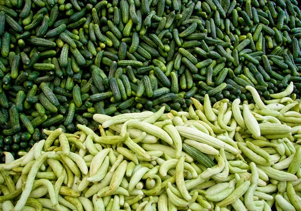 Pepino orgánico fresco / calabazas en un mercado callejero en Estambul , —  Fotos de Stock