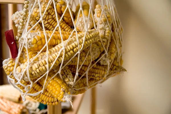 Aufgehängte trockene Bio-Hühneraugen in einem Netz — Stockfoto
