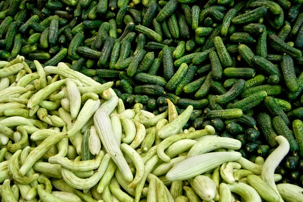 Fresh Organic Cucumber/ Gherkins At A Street Market In Istanbul, — Stock Photo, Image