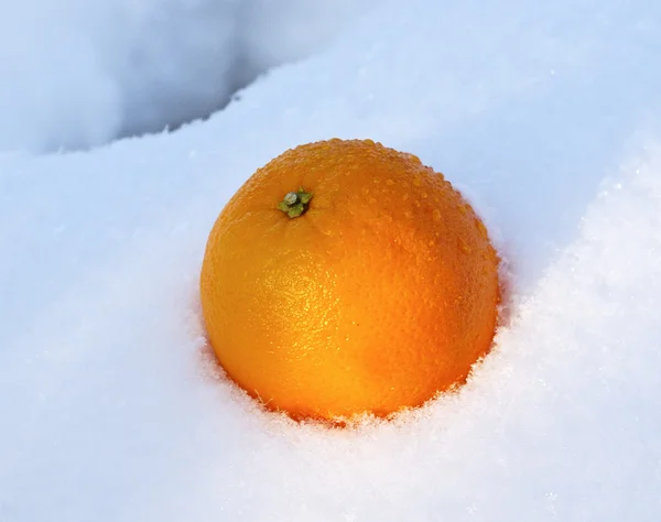 Weiche Orange im weißen Neuschnee im Winter — Stockfoto