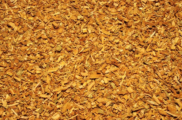 Shredded oak bark like texture or background — Stock Photo, Image