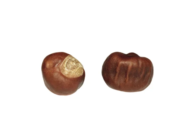 Two chestnut isolated on white background — Stock Photo, Image
