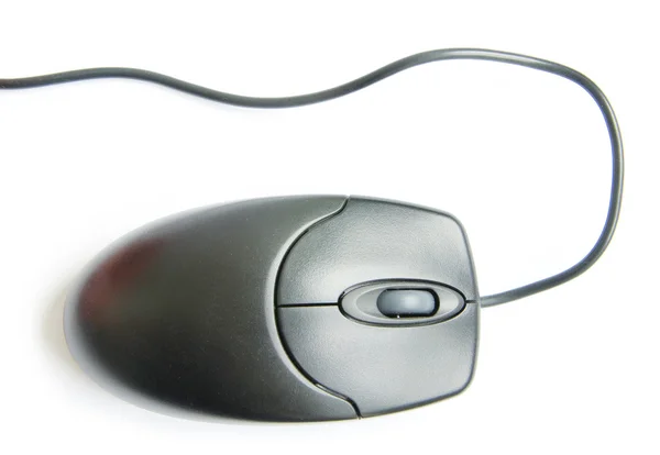 Myš na počítač — Stock fotografie