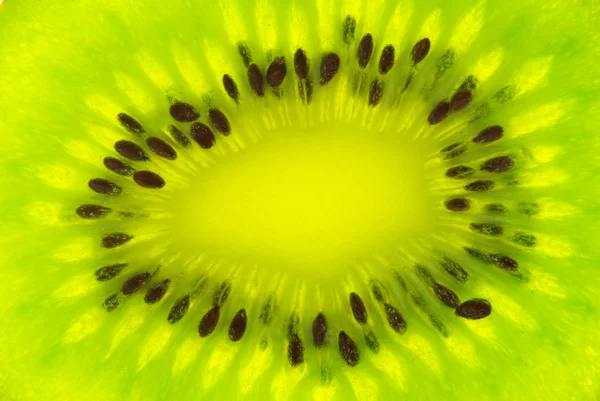 stock image Kiwi