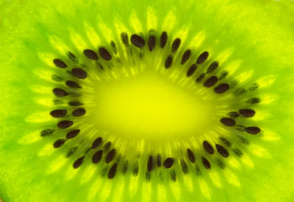 stock image Kiwi