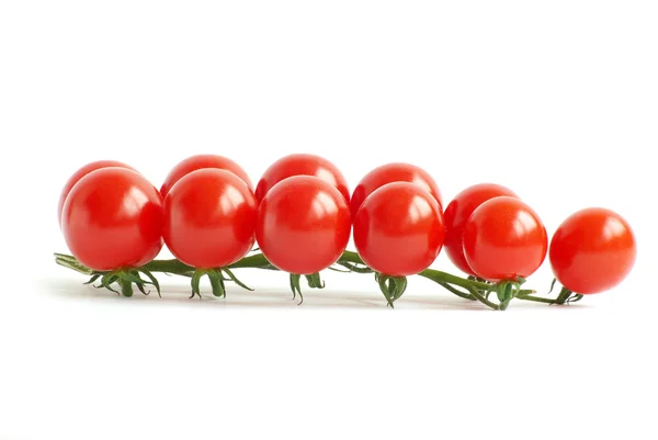 stock image Cherry tomatoes