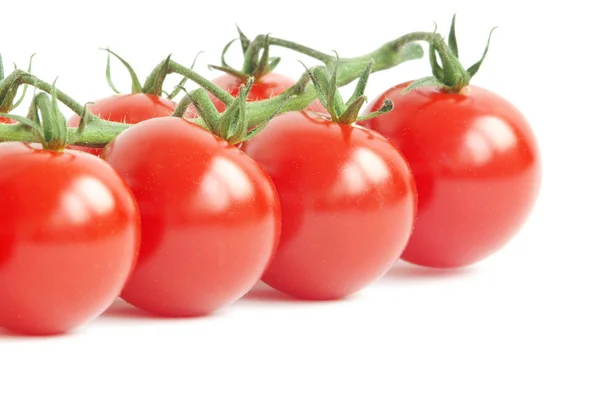 Kiraz domates — Stok fotoğraf