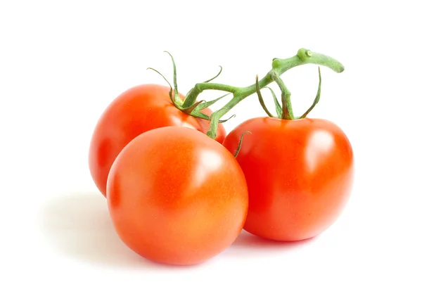 Tomate — Foto de Stock