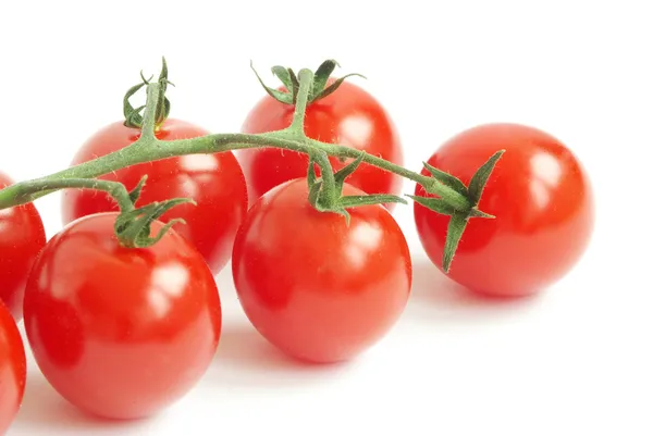 Tomate cereja Imagem De Stock